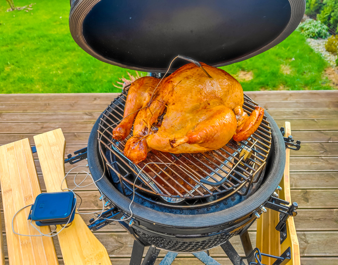 Check out these great tips to save energy and money by cooking your Thanksgiving feast outside this year!