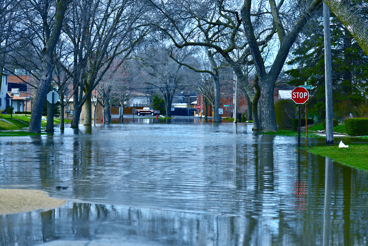 El Niño winters can be extreme in Macon and elsewhere. That's why now is the time to compare fixed rate plans for the best deal.